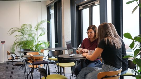 Arbeitnehmerveranlagung 2025